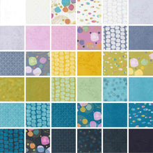 Load image into Gallery viewer, SD - Flirtation Jelly Roll