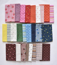 Load image into Gallery viewer, Darling Bundle by Denyse Schmidt from Windham Fabrics
