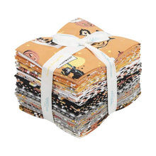 Load image into Gallery viewer, SD - Fright Delight Fat Quarter Bundle