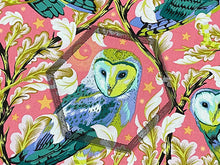 Load image into Gallery viewer, SD - Jaybird Quilts Fussy Cut Shapes
