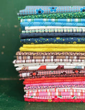 Load image into Gallery viewer, Darling Bundle by Denyse Schmidt from Windham Fabrics