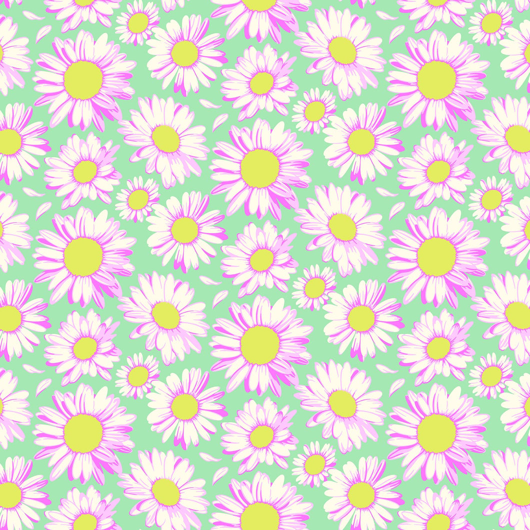 Daisy Crush - Sunshine Daisies - Sky - 1/2yd – Fox and Frog Quilt