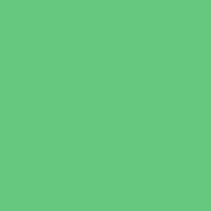 Tula Pink Solids - Cricket - 1/2 yd