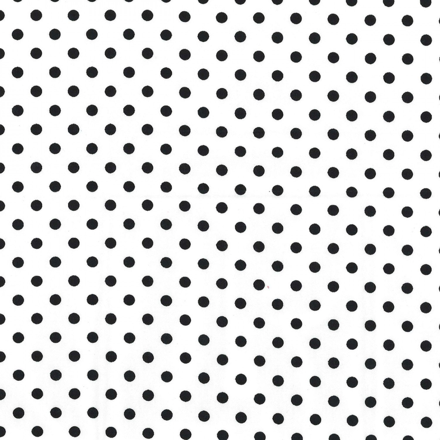 Chalk Dot SD - Dumb Dot - Dalmatian Polka Dot β Fox and Frog Quilt Shoppe