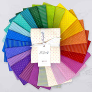 Tula Pink - True Color - Tiny Coordinates - Fat Quarter Bundle
