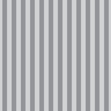 Load image into Gallery viewer, Tula Pink True Colors Graywork - Tent Stripe - Fog  - 1/2yd
