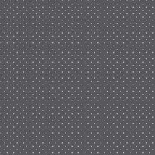 Load image into Gallery viewer, Tula Pink True Colors Graywork - Tiny Dots - Carbon  - 1/2yd
