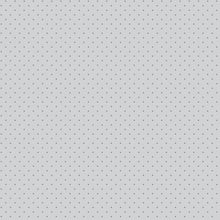Load image into Gallery viewer, Tula Pink True Colors Graywork - Tiny Dots - Fog - 1/2yd
