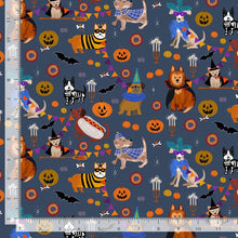 Load image into Gallery viewer, Howloween - Howloween - Moonlight - 1/2yd
