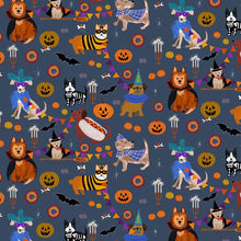 Load image into Gallery viewer, Howloween - Howloween - Moonlight - 1/2yd

