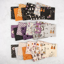 Load image into Gallery viewer, Spooky Schoolhouse Fat Quarter Bundle
