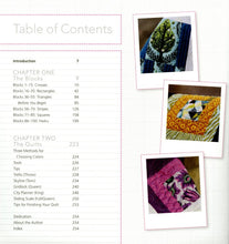 Load image into Gallery viewer, Tula Pink's City Sampler 100 Modern Quilt Blocks
