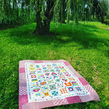 Load image into Gallery viewer, Farm Girl Vintage Quilt - Throw-Size by Claire Wofford
