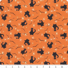 Load image into Gallery viewer, Retro Hallween Orange Black Cats (Y3248-36)
